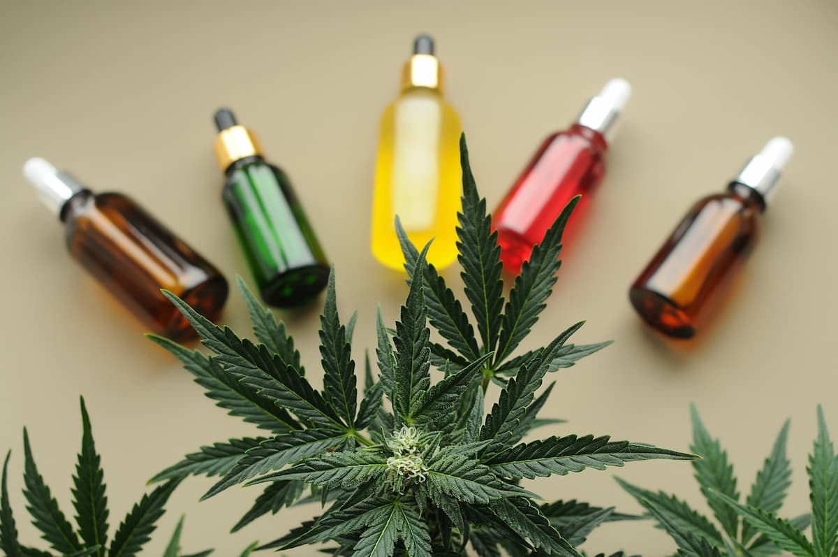 consommation cbd